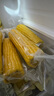 十月稻田 黄甜糯玉米 8根 3.52斤 真空包装 东北粘玉米棒 低脂早餐 实拍图