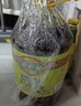 道道全菜籽油 食用油 小榨农家香菜籽油5L*1桶 实拍图