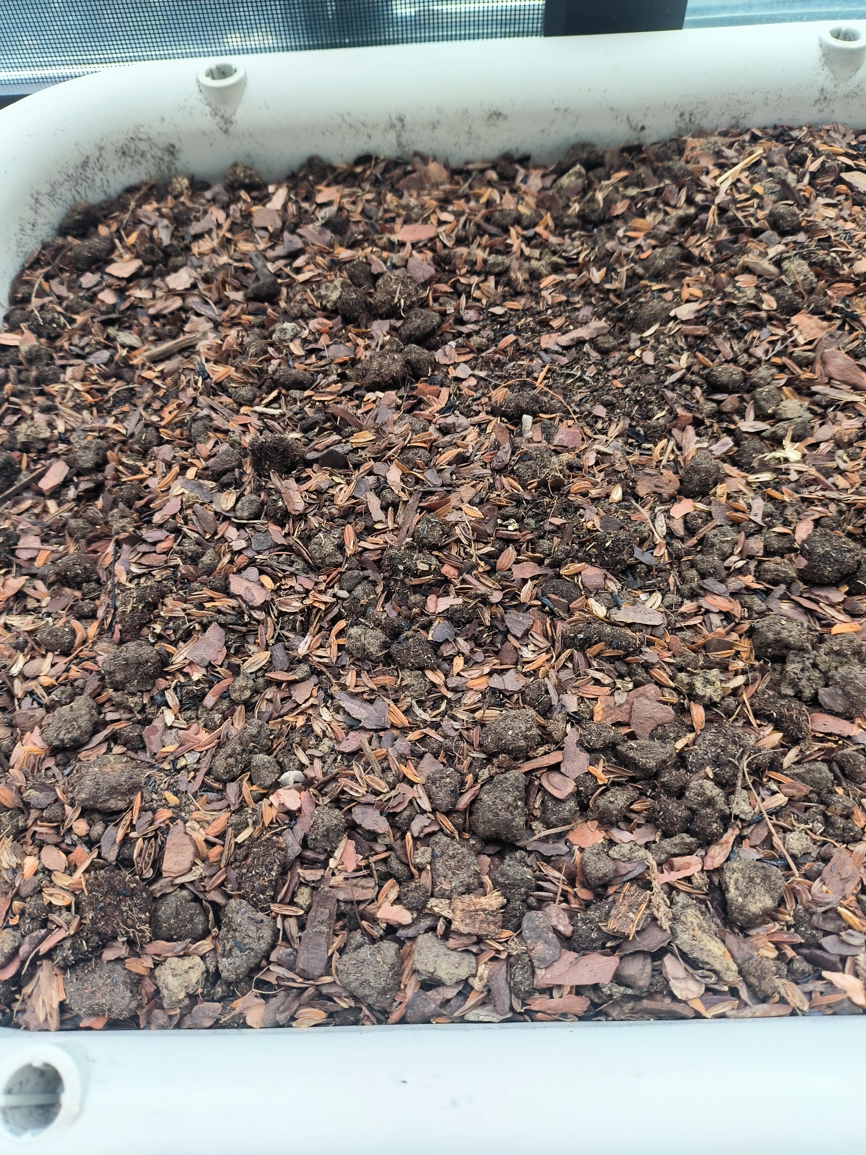 德沃多发酵松树皮5斤铁皮石斛松 鳞兰花营养土多肉君子兰蝴蝶兰栽培基质 发酵松树皮约5斤（0.3-0.6mm） 实拍图
