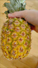 佳农 菲律宾进口菠萝 2个装 凤梨 单果净重2斤 生鲜水果源头直发 包邮 实拍图