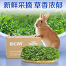 BCM烘干紫花苜蓿草 幼兔兔粮 干草兔子牧草龙猫荷兰猪磨牙饲料750g 实拍图