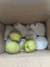 京鲜生 新疆库尔勒香梨 净重4.5斤 单果140g+ 生鲜水果 实拍图