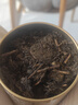 泾渭茯茶黑茶 过节礼盒 咸阳茯茶 陕西西安特产 金花茯砖茶  益生手筑255g 实拍图