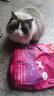 玫斯猫粮（metz）幼猫/成猫猫粮猫全猫粮奶糕英短美短全价美毛 全猫粮1.5kg 实拍图