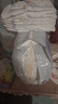 好奇（Huggies）金装纸尿裤婴儿超薄尿不湿新生儿尿裤柔软透气 【纸尿裤】S140片(4-8kg) 实拍图