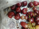 大口七八智利进口现货车厘子黑车大樱桃新鲜水果樱桃生鲜送礼盒顺丰 900g(净重) 精品礼盒装带箱2斤 2J 28mm(含)-30mm(不含） 实拍图