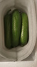 水果黄瓜无刺减肥好搭配可即食生鲜蔬菜 【优选】寿光水果黄瓜 1.7斤 净重 实拍图