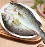 海名威冷冻三去海鲈鱼880g/2条 (配料包) 海鱼 生鲜鱼类海鲜 春节也送货 实拍图