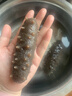 辽参大连冷冻海参礼盒2斤 8-12只 非即食 正宗辽参  固形物≥85% 实拍图