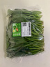 【24小时菜】菠菜苗250g(长度≤20cm) 实拍图