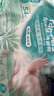 帮宝适超薄透气清新帮纸尿裤新生儿婴儿尿不湿尿片透氧Pro M54 实拍图