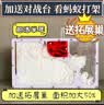 趣驭 蚂蚁城堡蚂蚁工坊养蚂蚁巢穴观察生态箱宠物玩具六一儿童节礼物 白沙版+1蚁后200工(铺道蚁) 实拍图
