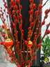 银柳真花鲜枝干花摆件室内客厅鲜花绿植新年年宵花卉植物过年春节 套装【60厘米20支+花瓶+2个灯笼 实拍图
