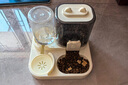 疯狂的主人猫粮自动喂食器饮水一体猫碗狗碗猫食盆猫咪猫盆宠物用品喝水双碗 实拍图