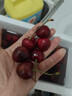 松筱智利车厘子【JD顺丰-多地次日达】5kg4J级进口樱桃水果礼盒送礼物 3斤(净重) 黑钻果王3J级30-32mm 实拍图