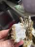 鲟食 生鲜小青龙新鲜冷冻龙虾 国产超大青龙虾大虾类节日送礼海鲜水产 1只装（8两/只） 实拍图