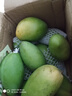 集南鲜 越南青玉芒果 芒果当季大青皮黄皮大芒果新鲜水果整箱 含箱10斤 单果250g起  净重9斤 实拍图