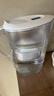 碧然德（BRITA）过滤净水器 家用滤水壶 净水壶 Marella 海洋系列白+专家版滤芯12枚（含附件） 实拍图