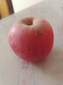 甜醉了 烟台苹果栖霞红富士新鲜水果生鲜山东特产脆甜整箱平果礼盒礼品 净重4.5斤80-85mm 实拍图