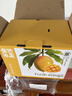 京鲜生 海南金煌芒果 5斤年货礼盒装 单果约400g 新鲜水果 实拍图