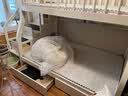 临稚樱桃木上下床实木儿童床男孩女孩高低床卧室上下铺成人双层子母床 梯柜款 上铺宽1.15米下铺宽1.35米 实拍图
