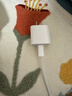 Apple/苹果 20W USB-C充电器  type-c充电器苹果手机充电器原装手机快充头 苹果17手机充电器 实拍图