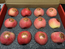 京鲜生山东红富士苹果12粒手提礼盒装 净重5斤单果180g起 源头直发包邮 实拍图