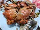 【活蟹】阳澄联合鲜活大闸蟹全母蟹4.0-4.3两 8只螃蟹现货生鲜去绳足重中秋海鲜礼盒 实拍图