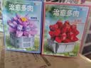 费米（Femibox）兼容乐高儿童拼装积木玩具模型摆件生日礼物多肉-红宝石S2283 实拍图