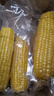 京鲜生 东北黄玉米净重3.6斤 8根*220g+ 真空包装加热即食 源头直发 实拍图