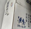 伊利金典纯牛奶整箱 200ml*12盒 3.6g乳蛋白 原生高钙 年货礼盒装 实拍图