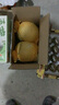 京鲜生 玉菇甜瓜 2粒装 单果重2-2.8斤净重4-5.5斤 生鲜水果礼盒 实拍图