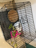 华美龙(配脚垫)兔子笼子家用加密室内养兔专用大号自动清粪宠物兔窝兔笼 黑色70*50*60cm双层款 实拍图