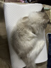 嘉唯（JAHVERY）枕头记忆棉枕颈椎枕高低护颈枕睡眠颈椎成人睡觉专用睡眠波浪枕 高低双向枕-高规白系列 I系（60*40*11/9cm） 实拍图