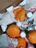 生活＆好管家 四川春见耙耙柑新鲜水果应季橘子现摘孕妇水果整箱桔子橘子 优选级市场果 8.5-9斤【单果90mm+】净重8斤 实拍图