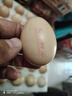 京鲜生【每日鲜蛋】无抗谷物鸡蛋30枚 3.18斤 当日产蛋 当日发货 实拍图