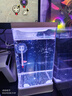 宠街坊斗鱼缸桌面家用创意造景装饰带灯迷你高透PET懒人金鱼缸 实拍图