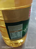 金龙鱼 食用油 非转基因 纯正玉米油5L  实拍图