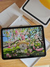 Apple/苹果 iPad11英寸 A16芯片2025年款 平板电脑 (256GB WLAN版/学习办公娱乐)银色 实拍图