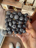 怡颗莓Driscoll's云南蓝莓14mm+ 4盒装 约125g/盒 新鲜年货水果 实拍图