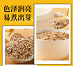十月稻田 三色藜麦 480g 白黑红藜麦 轻食沙拉 藜麦糙米饭 杂粮 高蛋白质 实拍图
