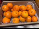 京鲜生 广西皇帝柑/橘子 净重9斤 单果100g起 生鲜水果年货礼盒 实拍图