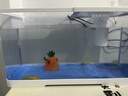 阔庭（KUOTING）鱼缸水族箱生态桌面鱼缸新款懒人鱼缸过滤制氧一体白色【特大号】 实拍图