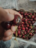 京地达智利进口车厘子J级大果5斤 单果26-28mm 新鲜水果礼盒源头直发 实拍图