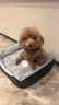 licheers猫狗窝小型犬宠物猫咪睡垫秋冬季舒适保暖泰迪中大型犬狗垫子 S号 实拍图
