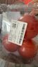 番茄约500g 实拍图