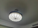 雷士（NVC）LED灯盘灯条吸顶灯灯芯替换光源改造板环形改装灯40W-白光6500K 实拍图