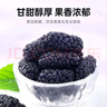 杞里香红枸杞子桑葚干组合500g宁夏头茬特级枸杞黑桑椹干即食桑葚子泡水 实拍图