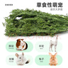 喜帅 烘干胡萝卜缨幼兔粮牧草垂耳兔粮干草龙猫豚鼠饲料500g净重/箱 实拍图