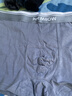 猫人【精梳棉-安心品质】男士内裤男纯棉长效抗菌蚕丝裆男生四角短裤 实拍图